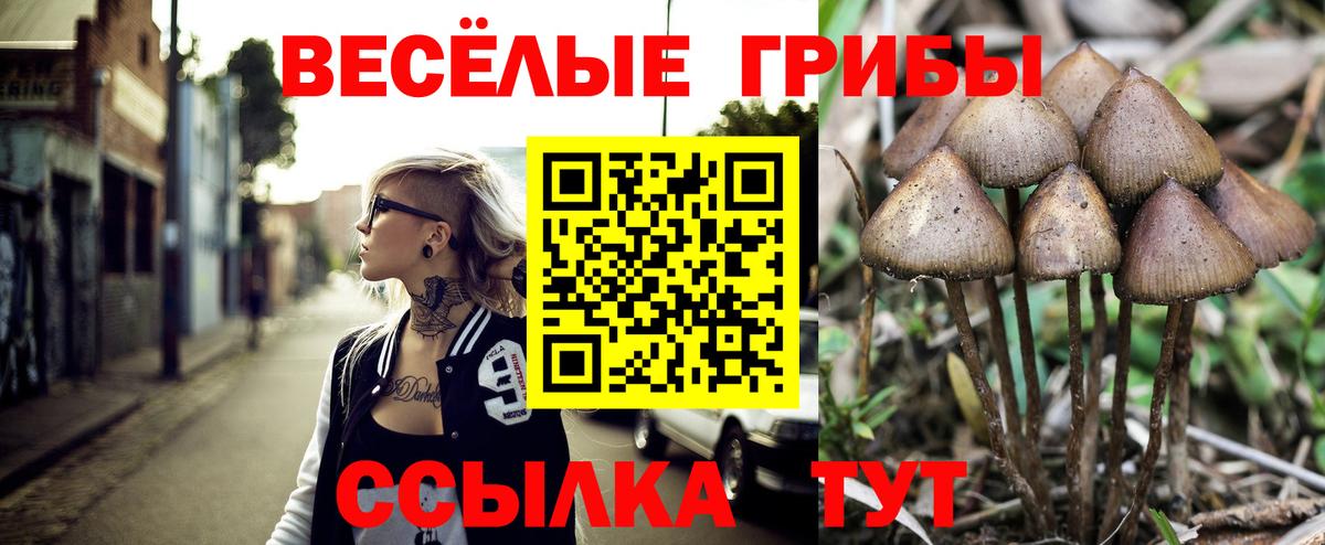 Псилоцибиновые грибы MAGIC MUSHROOMS Батайск